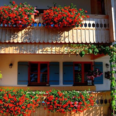 Gaestehaus Wild-Schuetz Schwangau Zewnętrze zdjęcie