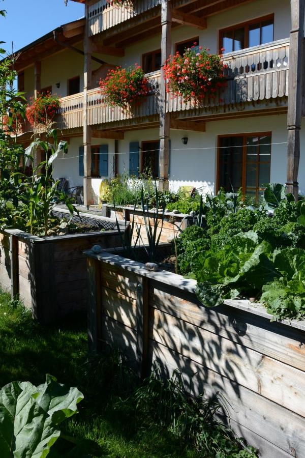 Gaestehaus Wild-Schuetz Schwangau Zewnętrze zdjęcie