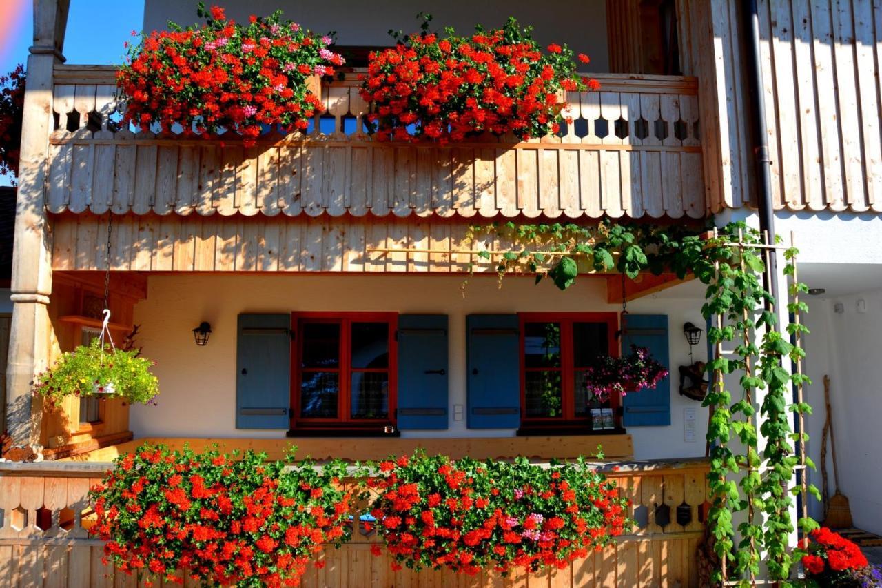 Gaestehaus Wild-Schuetz Schwangau Zewnętrze zdjęcie